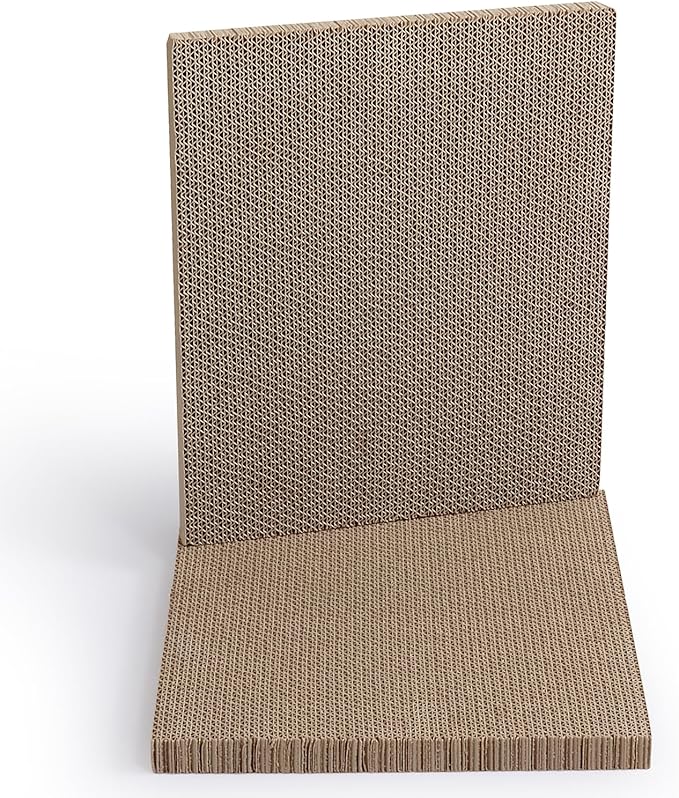 Hide &amp; Scratch: Refill Scratch Pad (2 Pack)