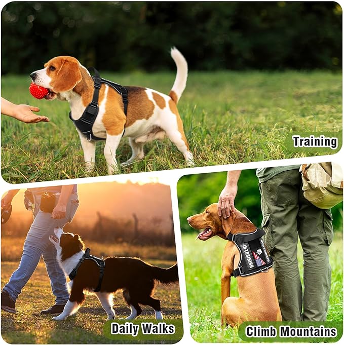 WINSEE Service Dog in Training Harness with 5 PCS Patches, Reflective Tactical Dog Vest Harness, Adjustable Soft Oxford Pet Harness with Easy Control Handle, Hook &amp; Loop Panels for Walking Hiking