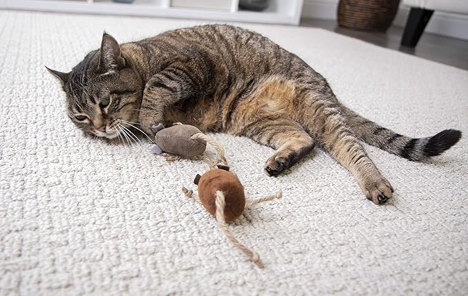 Petlinks (2 Count) Lil&