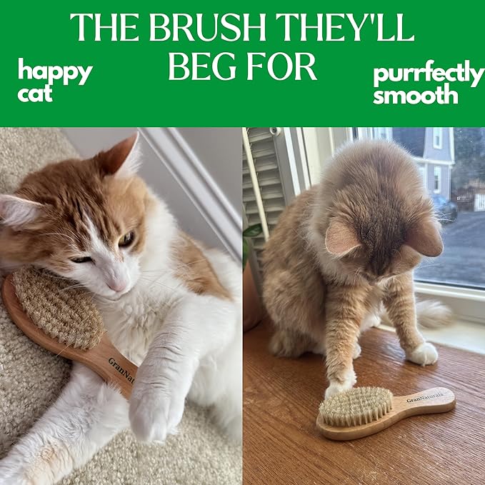 GranNaturals Boar Bristle Soft Cat Brush for Indoor, Outdoor, Short Haired Cats, Kittens, Small Dog, Rabbit, Furry Pets - Gentle Grooming on Sensitive Hair Coat &amp; Tail with Durable Wooden Handle