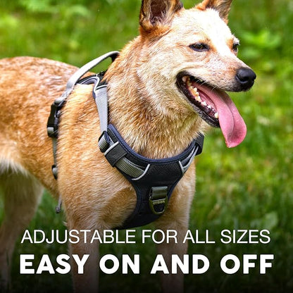 Embark Adventure Dog Harness, Reflective Trim No Pull Dog Harnesses for Small Sized Dogs - Military Grade Nylon, Front Clip with Gel Lined Handle. Soft &amp; Padded Puppy Harnesses.