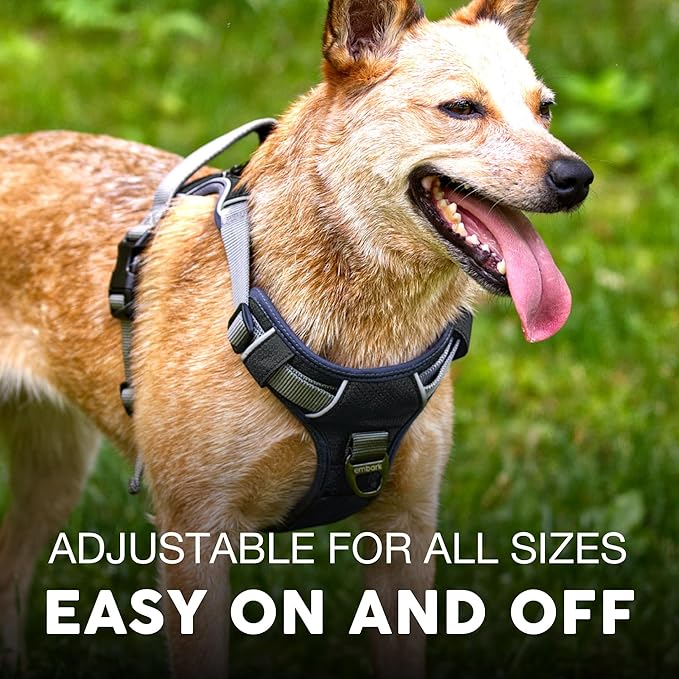 Embark Adventure Dog Harness, Reflective Trim XL Harness for Extra Large Dogs No Pull - Military Grade Nylon, 2 Leash Clips &amp; Gel Lined Handle. Soft &amp; Padded Puppy Dog for Any Breed