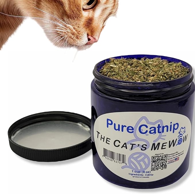 The Cat&