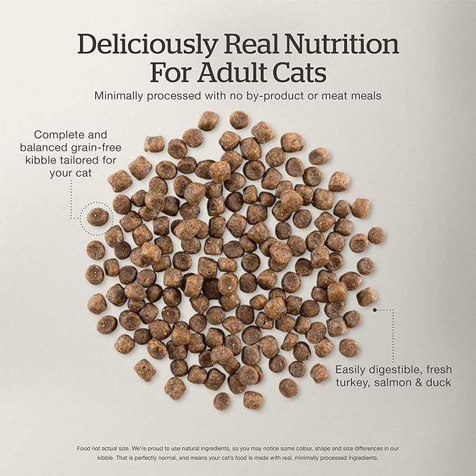 Now Fresh Grain-Free Dry Cat Food with Turkey, Salmon &amp; Duck, Healthy Kibble for Adults Made with Real Meat &amp; Fish, Chicken-Free, with Pumpkin &amp; Probiotics for Sensitive Stomachs, 8 lb Bag