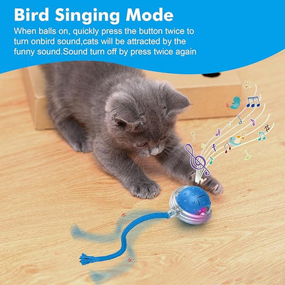 Cat Toys Ball for Indoor Cats - Interactive Automatic Cat Ball Toy | Fast Rolling &amp; Motion Activated Chirping | Hide and Seek Mouse Catching Game | Stimulates Hunting Instinct (Blue)