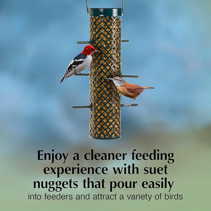 C&amp;S Sunflower Suet Nuggets, Suet Nuggets for Wild Birds, 27 Ounces