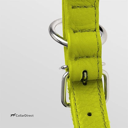 CollarDirect Rolled Leather Dog Collar, Soft Padded Round Puppy Collar, Handmade Genuine Leather Collar Dog Small Large Cat Collars 13 Colors (13-16 Inch, Lime Green Textured)