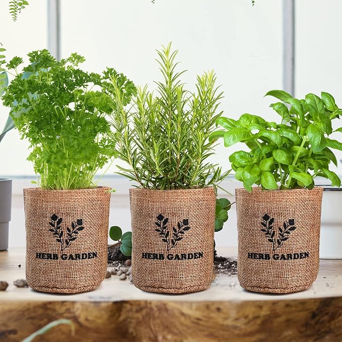 5 Herb Seeds Garden Starter Kit with Complete Planting Kit &amp; Wooden Flower Box, Growing into Basil, Parsley, Rosemary, Thyme, Mint for Kitchen Windowsill Herb Garden DIY