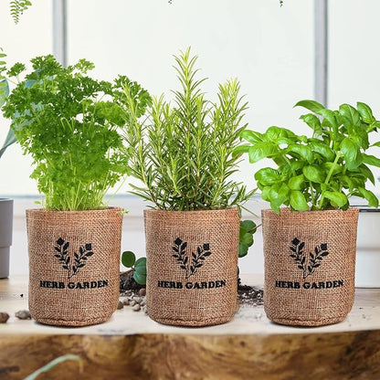 5 Herb Seeds Garden Starter Kit with Complete Planting Kit &amp; Wooden Flower Box, Growing into Basil, Parsley, Rosemary, Thyme, Mint for Kitchen Windowsill Herb Garden DIY