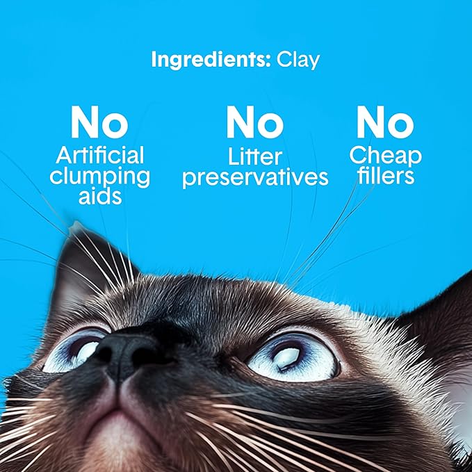 Boxie® Unscented 30 Day Odour Control Clumping Clay Cat &amp; Kitty Litter 28 lb, 99.9% Dust-Free, Hard Flat Top® Clumps, No Fragrances No Fillers, Long-Lasting, Easy to Scoop