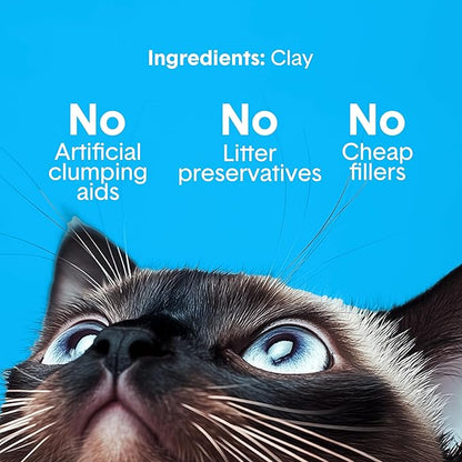 Boxie® Unscented 30 Day Odour Control Clumping Clay Cat &amp; Kitty Litter 40 lb, 99.9% Dust-Free, Hard Flat Top® Clumps, No Fragrances No Fillers, Long-Lasting, Easy to Scoop