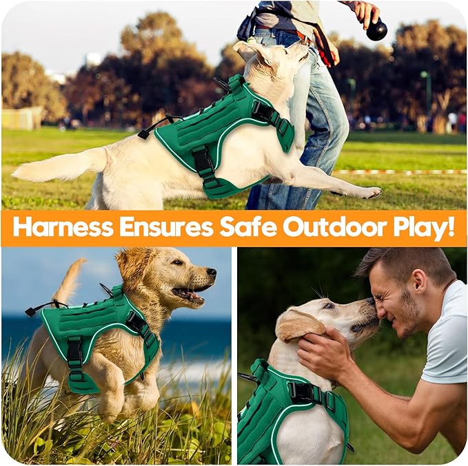 Heavy-Duty Tactical Dog Harness for Large Dogs, No Pull Adjustable Reflective Pet Vest with Molle System, K9 Military-Grade Control for Service Training, Outdoor &amp; 10+ Breeds, Turquoise, Large