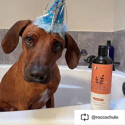 Oatmeal Shampoo for Dogs and Cats by kin+kind - Cat &amp; Dog Shampoo for Sensitive Skin with Colloidal Oatmeal - Safe, Natural Formula with Olive Oil and Coconut Oil (12 fl oz) - Made in USA