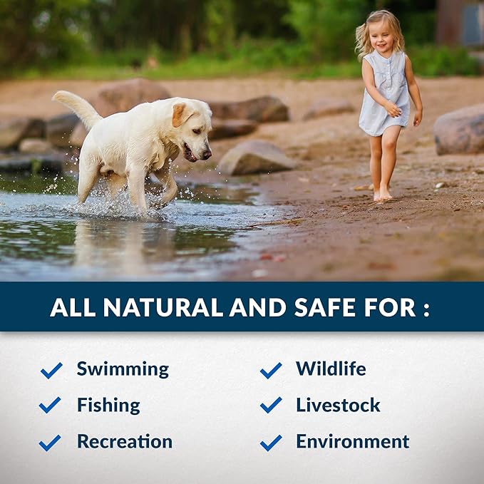 Airmax Twilight Blue Pond Dye 4X Concentrate for Outdoor Ponds &amp; Lakes, Natural Pond Colorant &amp; Beauty Enhancer, Block Ultraviolet Rays, Fish, Bird &amp; Livestock Safe, Easy Liquid Application,1 Quart