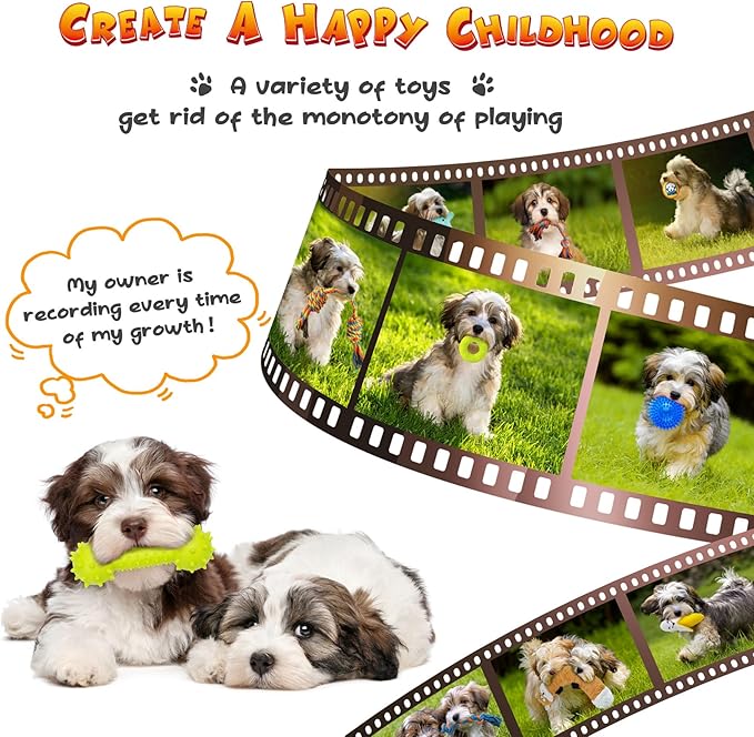 KIPRITII Puppy Toys for Dog Teething -25 Pack Various Puppy Chew Toys with Rope Toys, Dog Treat Balls &amp; Squeaky Toy for Puppy and Small Dogs