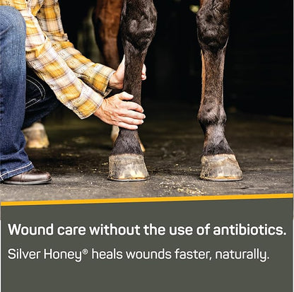Absorbine Silver Honey Rapid Wound Repair Ointment, Manuka Honey &amp; MicroSilver BG, Veterinarian Tested Horse &amp; Animal Wound Care, 2oz Tube