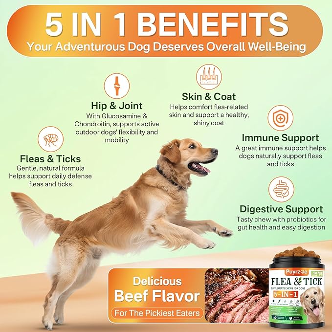 5-in-1 Dog Flea and Tick Treatment Chewable, Natural Flea and Tick Prevention for Dogs Chewable - Flea &amp; Tick | Hip &amp; Joint | Skin &amp; Coat | Immunity Support | Digestive for All Breeds &amp; Sizes