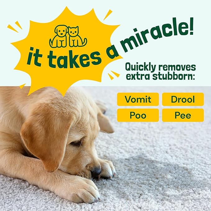 Sunny &amp; Honey Enzyme Carpet Cleaner Spray - 32 Fl Oz, Spring Mint - Pet Urine Remover &amp; Odor Eliminator - Stain Remover