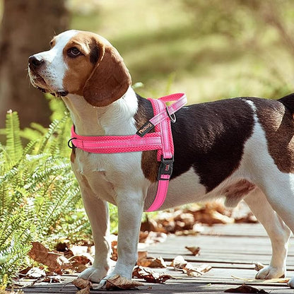 Didog No Pull Dog Harness with Soft Mesh Padded,Reflective &amp; Quick Fit Light Weight Dog Strap Vest Harness,Easy for Walking Training (L:Chest 26-32", Pink)
