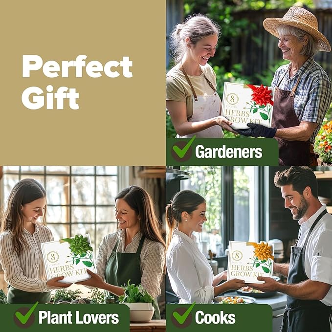 HOME GROWN 𝗣𝗥𝗘𝗠𝗜𝗨𝗠 𝗛𝗘𝗥𝗕 𝗞𝗜𝗧 8 Herb Seeds Garden Kit, Complete Indoor Planter Gift with Basil Cilantro Mint &amp; More, Unique Kitchen Growing Set for Women Men, Birthday Housewarming Present