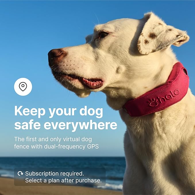 Halo Collar 4, All New GPS Wireless Dog Fence &amp; Dog Training Collar with GPS Tracker, Subscription Required, Waterproof, One Size, Orchid