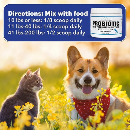 Probiotics for Dogs and Cats - Vet Formulated Made in USA Pet Prebiotic &amp; Enzyme Powder for Digestive, Gut &amp; Immune Health - 200 Servings (50 g)