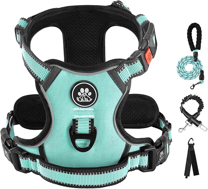 IVY&amp;LANE No Pull Dog Harness with Leash Set, Reflective No Choke Pet Vest,Adjustable Oxford Dog Vest Harness with Easy Control Handle for Large Dogs (Turquoise,L)
