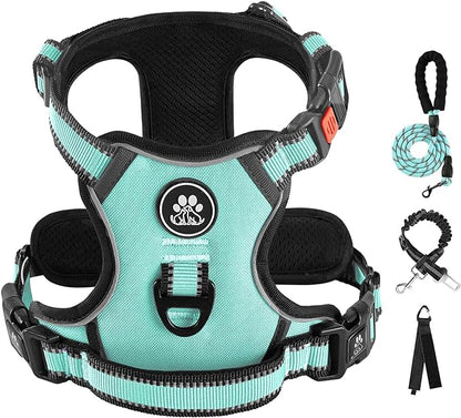 IVY&amp;LANE No Pull Dog Harness with Leash Set, Reflective No Choke Pet Vest,Adjustable Oxford Dog Vest Harness with Easy Control Handle for Large Dogs (Turquoise,XL)