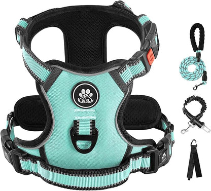 IVY&amp;LANE No Pull Dog Harness with Leash Set, Reflective No Choke Pet Vest,Adjustable Oxford Dog Vest Harness with Easy Control Handle for Medium Dogs (Turquoise,M)
