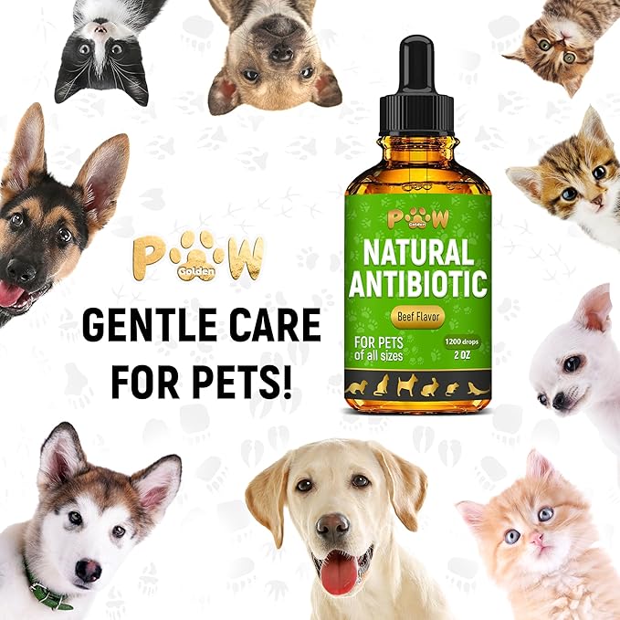 Antibiotics for Dogs | Antibiotics for Cats | Herbal Supplement for Digestion, Breathing, Urination | for Infections, Cough, Allergies | Beef Flavor &amp; Cranberry | for All Pet Breeds | 2 Oz