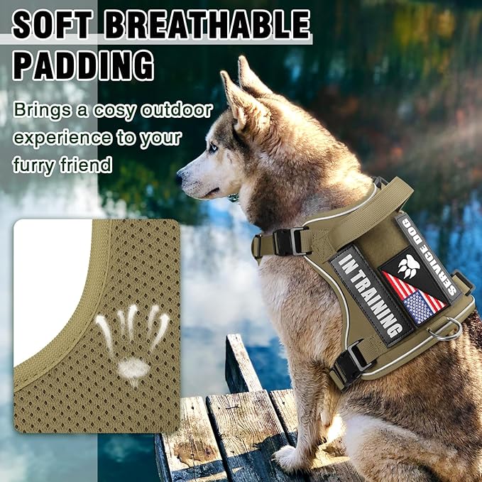 WINSEE Service Dog in Training Harness with 5 PCS Patches, Reflective Tactical Dog Vest Harness, Adjustable Soft Oxford Pet Harness with Easy Control Handle, Hook &amp; Loop Panels for Walking Hiking