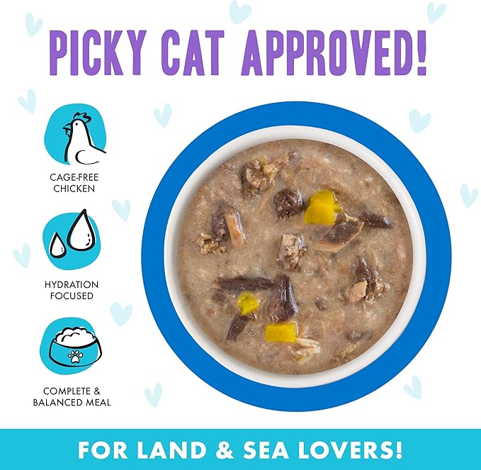 Weruva B.F.F. OMG - Best Feline Friend Oh My Gravy!, Love Munchkin! with Chicken &amp; Pumpkin in Gravy Cat Food, 2.8oz Can (Pack of 12)