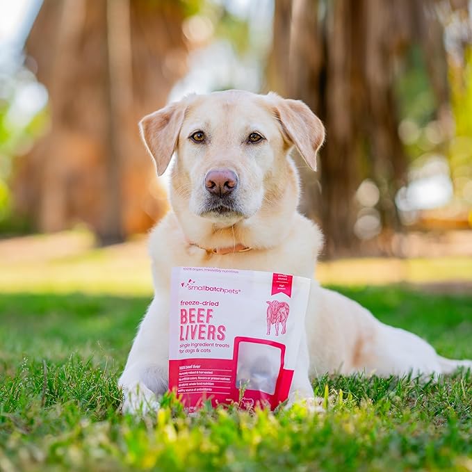 smallbatch Freeze Dried Dog Treats, Beef Liver Treats for Dogs &amp; Cats, High Protein, Single Ingredient Dog Treat for Training or Food Topper, Natural, Humanely Sourced Meat, Made in The USA, 4 oz