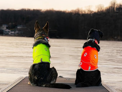 Custom Reflective Dog Vest Personalized High Visibility Reflective Jacket for Your Puppy Hunting Safety Gear with Elastic Strap &amp; Clasp, Comfortable, Perfect for Day and Night Walks!