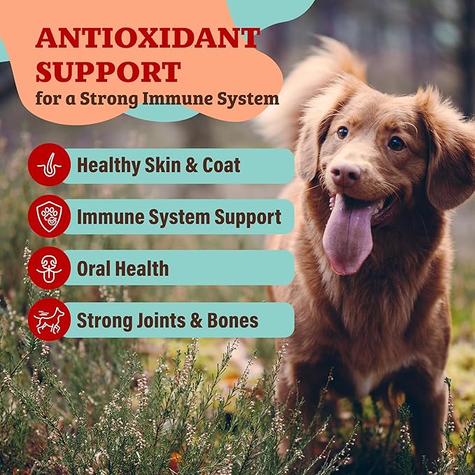 Natural Dog Company Dog Food Topper, Antioxidant Berry Vitamins &amp; Superfood Meal Topper Supplement, Holistic Nutrition, Dog Food Seasoning, Immune Support, All Breeds, Ages, &amp; Sizes of Dogs, 8oz Bag
