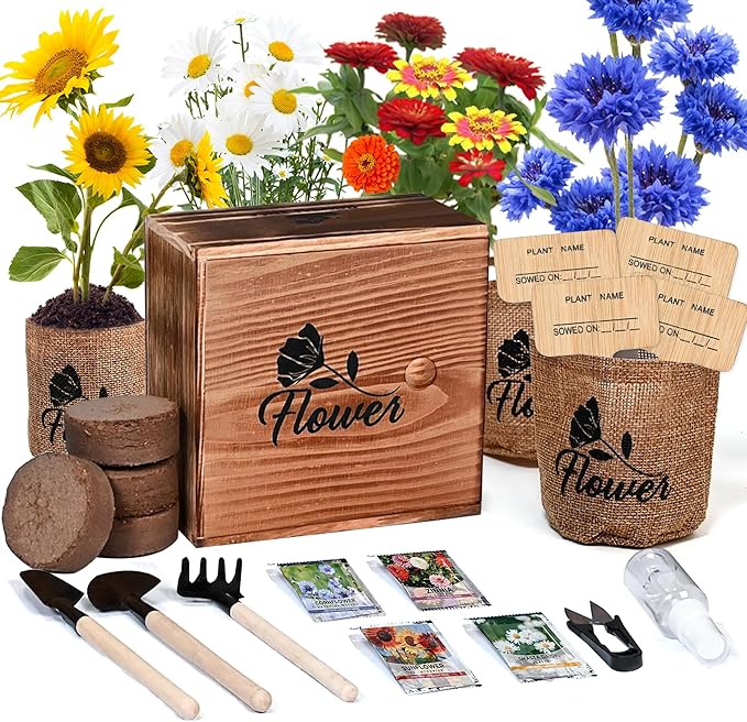 Indoor Daisy Garden Starter Kit, 4 Flower Seeds Growing into Shasta Daisy, Cornflower, Sunflower, Zinnia, Including Complete Gardening Tools, Christmas Gifts for Women Men &amp; Beginners