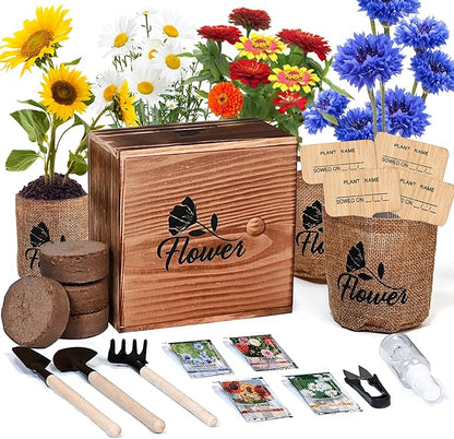 Indoor Daisy Garden Starter Kit, 4 Flower Seeds Growing into Shasta Daisy, Cornflower, Sunflower, Zinnia, Including Complete Gardening Tools, Christmas Gifts for Women Men &amp; Beginners