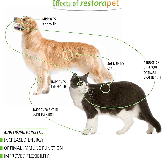 RestoraPet 1-Pack Dog &amp; Cat Beef Liquid Multivitamin | Dog Arthritis Pain Relief | Hip &amp; Joint Vitamins for Dogs - Anti Inflammatory Supplement for Dogs &amp; Cats | Organic &amp; Non-GMO, Vet Approved