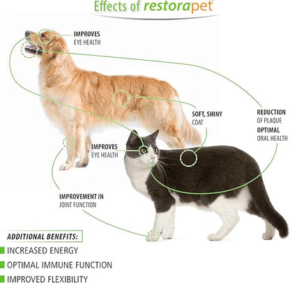 RestoraPet 1-Pack Dog &amp; Cat Beef Liquid Multivitamin | Dog Arthritis Pain Relief | Hip &amp; Joint Vitamins for Dogs - Anti Inflammatory Supplement for Dogs &amp; Cats | Organic &amp; Non-GMO, Vet Approved