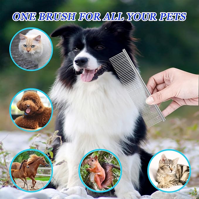 Dog Comb and Cat Combs Stainless Steel Teeth, Grooming Tool for Long &amp; Short Hair, Dematting Comb for Dogs, Removes Tangles &amp; Knots (Large Silver)