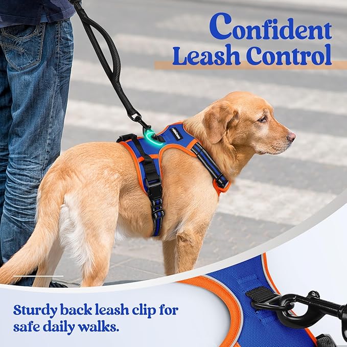 rabbitgoo Dog Harness No Pull with 2 Leash Clips, Adjustable Soft Padded, Reflective Oxford No Choke Pet Vest with Easy Control Handle for Large Dogs, Blue &amp; Orange, XL