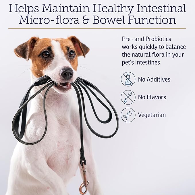Rx Vitamins Rx Biotic - Probiotic Powder for Dogs and Cats - Cat Digestive Support &amp; Probiotic for Dogs Gut Health - Dog Probiotics for Digestive Health - 1.25oz