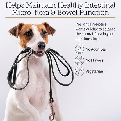Rx Vitamins Rx Biotic - Probiotic Powder for Dogs and Cats - Cat Digestive Support &amp; Probiotic for Dogs Gut Health - Dog Probiotics for Digestive Health - 1.25oz