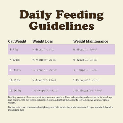 Now Fresh Grain-Free, Dry Cat Food, Turkey, Salmon and Duck Kibble, Real Meat and Fish Senior Recipe, 3 lb Bag