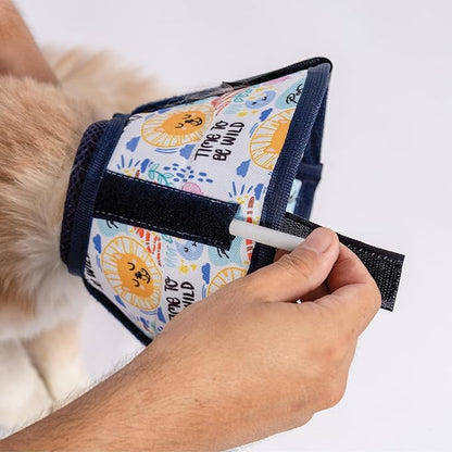 Cat Cone Collar – Colorful Cat Pattern - Lightweight Recovery Cone for Cats, Anti-Lick &amp; Anti-Scratch, Vet Recommended, Elizabethan Collar (Colorful, XXS Long [Neck Girth: 7.5"-10.3"])
