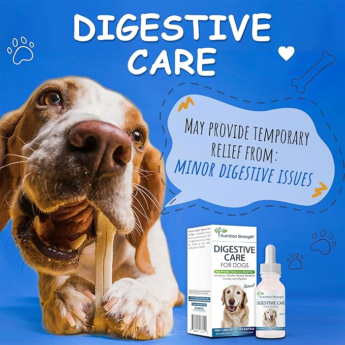 Digestive Care for Dogs, Natural Constipation Relief for Dogs and Puppies &amp; Support for Diarrhea, Bloating, Bad Breath, Vomiting, Lack of Appetite, 60 Milliliters