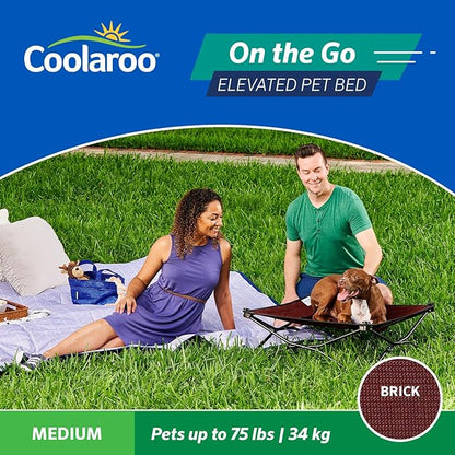 Coolaroo On-The-Go Elevated Dog Bed - Foldable Pop-Up Travel Dog Bed with Breathable, Moisture-Resistant Fabric, Carry Bag Included, Lightweight &amp; Portable, Brick, Medium