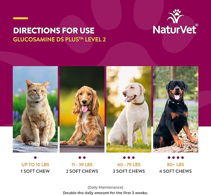 NaturVet – Glucosamine DS Plus - Level 2 Moderate Care – Supports Healthy Hip &amp; Joint Function – Enhanced with Glucosamine, MSM &amp; Chondroitin – for Dogs &amp; Cats–70 Soft Chews