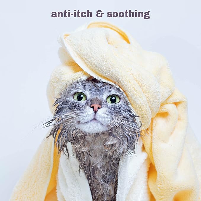 Soothing Hypoallergenic Cat Shampoo – Easy at-Home Cat Grooming | Deodorizes | Gentle &amp; Anti-Itch | Natural &amp; Allergy-Safe Cat Shampoo Sensitive Skin – Fragrance Free | 9 fl oz