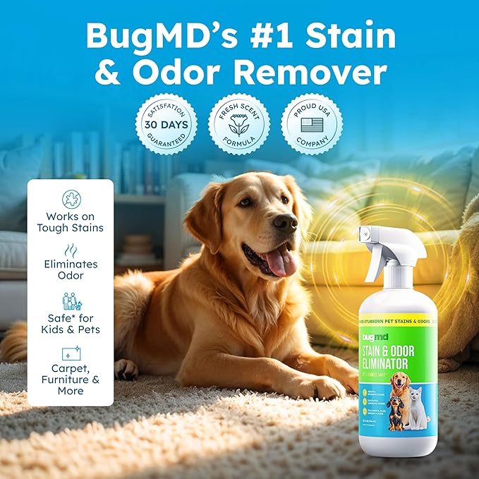 BugMD Enzyme Cleaner for Dog &amp; Cat Urine | Pet Stain and Odor Remover for Carpet &amp; Home | Unscented Urine Destroyer &amp; Deodorizer